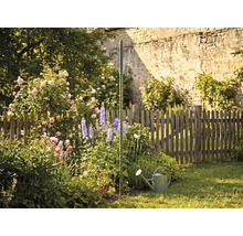 Grön tomatspiral i en blomstrande trädgård med rosor, riddarsporrar och en vattenkanna framför ett trästaket.