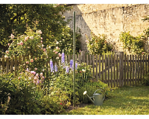 Grön tomatspiral i en blomstrande trädgård med rosor, riddarsporrar och en vattenkanna framför ett trästaket.
