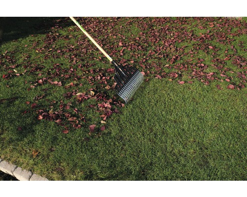 Löv avlägsnas från gräsmattan med en lövräfsa.