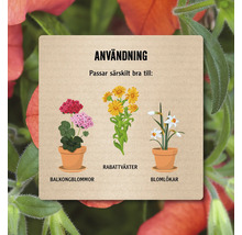 Användning: Passar särskilt bra till balkongblommor, rabattväxter och blomlökar.