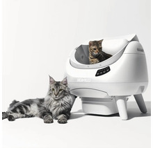 Självrengörande kattlåda med CatLink Logo och två katter, en inuti, en liggande bredvid, med kontrollpanel och ben.