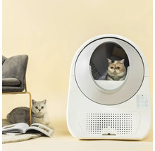 Vit självrengörande automatisk kattlåda med en katt inuti och en annan katt bredvid.