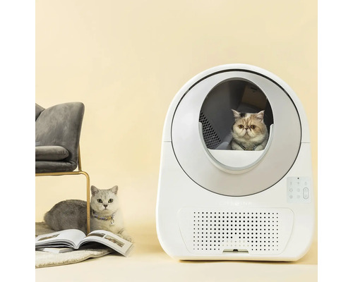 Vit självrengörande automatisk kattlåda med en katt inuti och en annan katt bredvid.