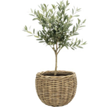 Korgkruka Leah Sanur naturfiber Ø50x40cm natur