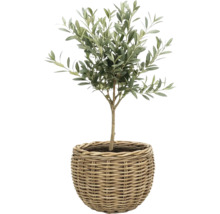 Korgkruka Leah Sanur naturfiber Ø40x30cm natur