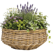 Korgkruka Leah Jakarta naturfiber 38x38x16cm natur