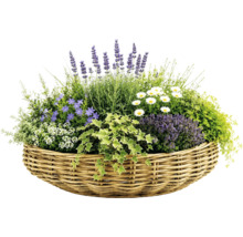 Korgkruka Leah Jakarta naturfiber Ø48x20cm natur