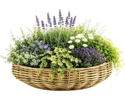 Korgkruka Leah Jakarta naturfiber Ø48x20cm natur