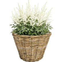 Korgkruka Leah Full Kubu naturfiber Ø29x20cm natur