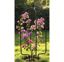 Krukspaljé LAFIORA fågel blomma 26x61cm svart