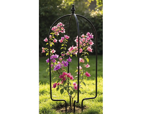 Krukspaljé LAFIORA fågel blomma 26x61cm svart