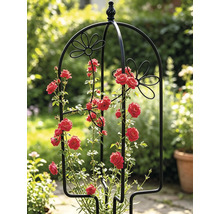 Krukspaljé LAFIORA blomma 26x61cm svart