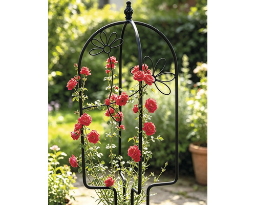 Krukspaljé LAFIORA blomma 26x61cm svart