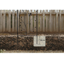 Spaljé med fågelmotiv, visar ett insticksdjup på 30 centimeter i jorden.