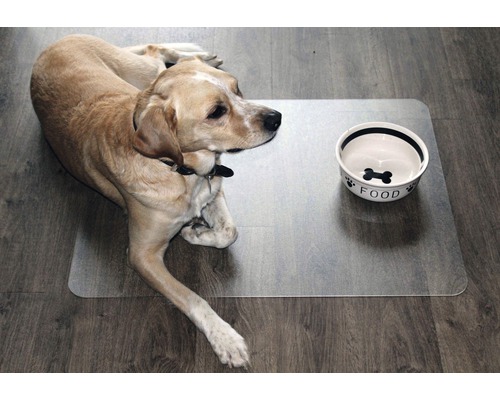 Hund ligger bredvid en matskål på en transparent matta