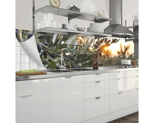 Stänkskydd med olivträdsgrenmotiv i ett modernt kök