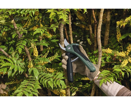 En person beskär en buske med en sladdlös trädgårdssax.