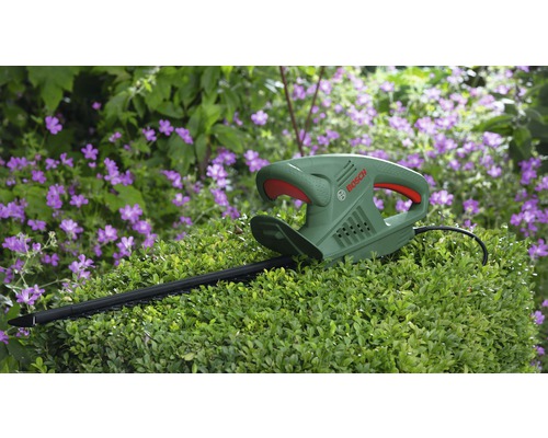 Bosch häcksax på buxbom framför blommor