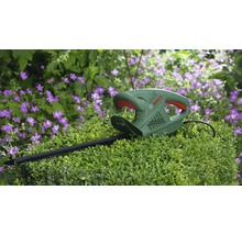 Bosch häcksax på en buske framför blommor