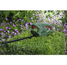 Bosch häcksax på häck med lila blommor