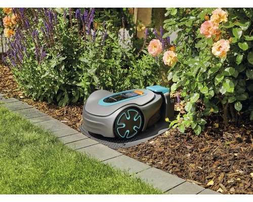 Robotgräsklippare i trädgården mellan rabatter och gräsmatta