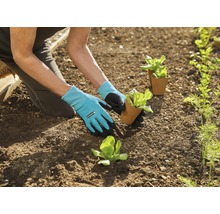 Planteringshandske GARDENA storlek 10/XL-thumb-3