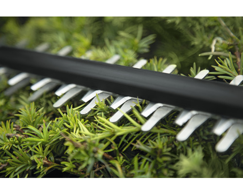 Närbild av skärbladen på en häcksax som klipper häckar