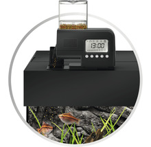 Akvarium med foderautomat för automatisk utfodring av fiskarna