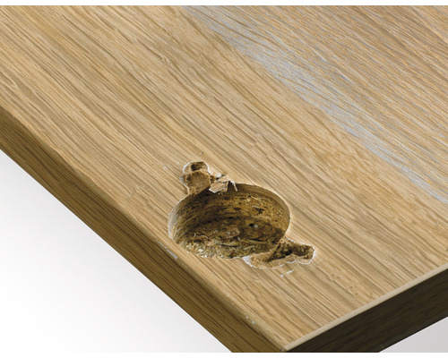 Detaljvy av en skadad träplatta med hål