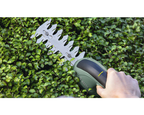 Batteridriven häcksax som används på en häck. Bosch logotyp.