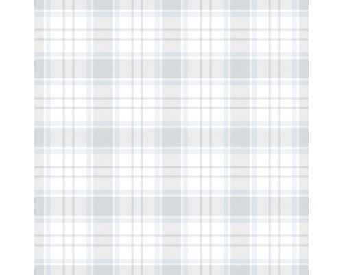 Rutigt mönster med linjer