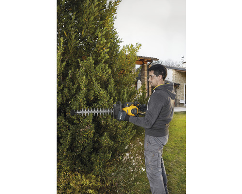 Man klipper häck med en häcksax i trädgården.