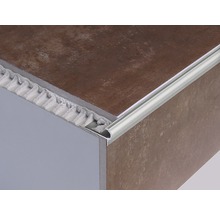 Trappstegsprofil DURAL Florentostep aluminium silver 100cm 11mm