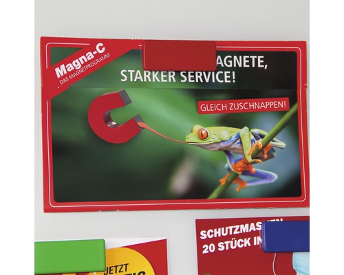 Magna-C magneter med grodmotiv