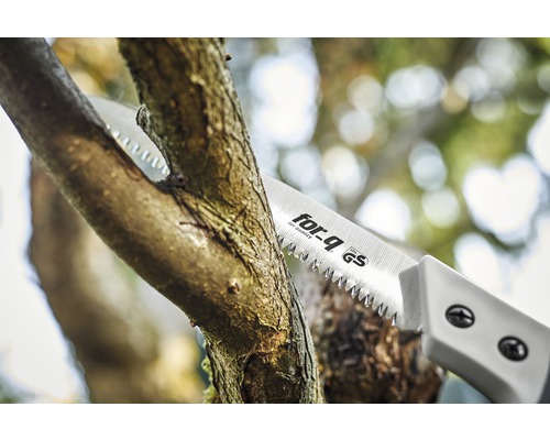 Grensåg som sågar en gren