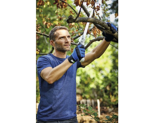 En man sågar av en gren med en handsåg.