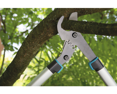 Grenar beskärs med en grensax