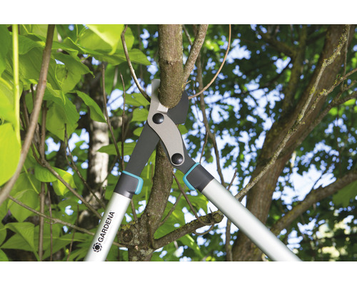 Grenkapare som klipper en gren