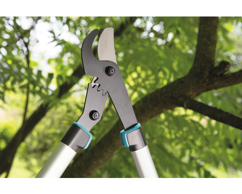 Grensåg framför träd