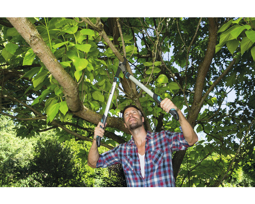 Man beskär trädgrenar med en grensax
