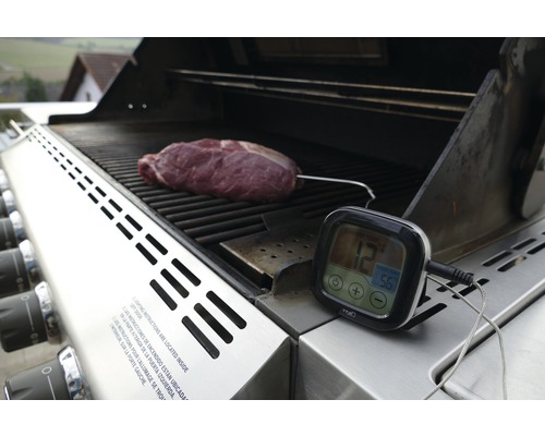 Grill med kött och grilltermometer