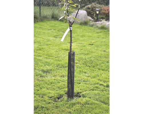 Gnagskydd WEIBULLS svart nät 80cm Gnagskydd WEIBULLS svart nät 80cm