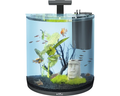 Akvarium med fiskar, växter och dekorativa figurer