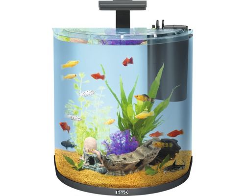 Akvarium med fiskar och dekoration