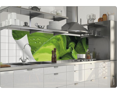 Köksscen med bänkskiva, diskho, kran och stänkskydd med växtmotiv