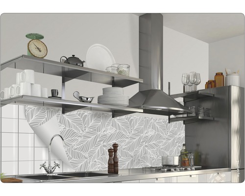 Köksscen med stänkskyddsfilm, hyllor och köksfläkt.