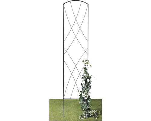 Trädgårdsscen med spaljé för att stödja klätterväxter.