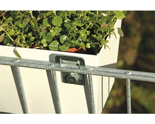 Blomlåda med fäste på metallgaller