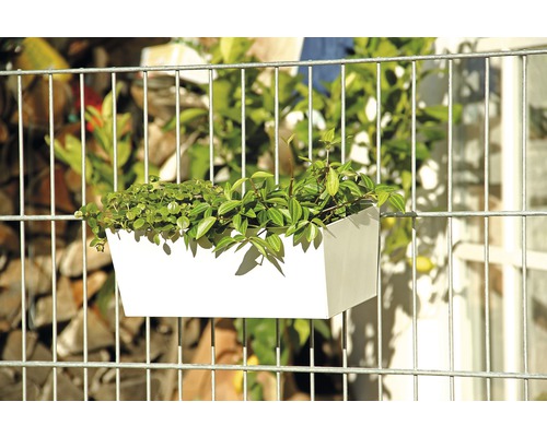 Rektangulär planteringslåda med växter på staketet