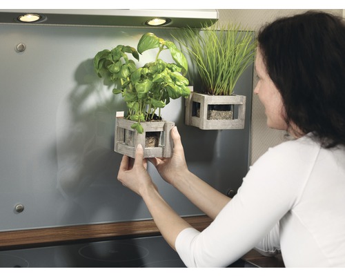 Kvinna placerar örtkruka med basilika och prydnadsgräs i trälåda på köksväggen